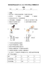 陕西省宝鸡市金台区2021-2022学年九年级上学期期末化学试题（word版 含答案）