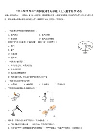 广西防城港市2021-2022学年九年级上学期期末化学试卷（word版 含答案）