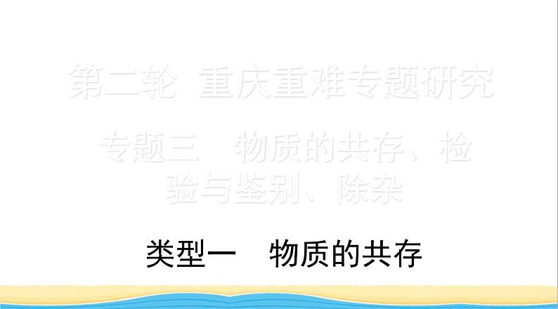 中考化学二轮复习三物质的共存检验与鉴别除杂类型一物质的共存课件01