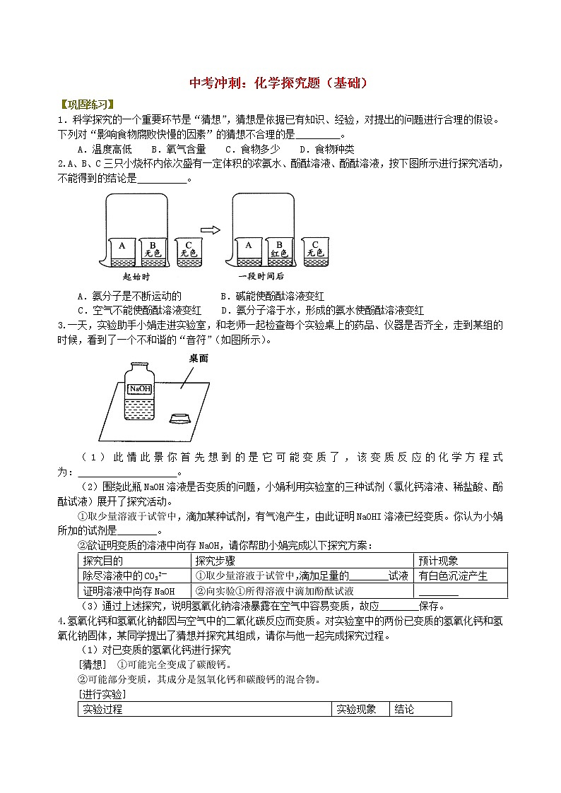 中考化学总复习化学探究题基础巩固练习第1页