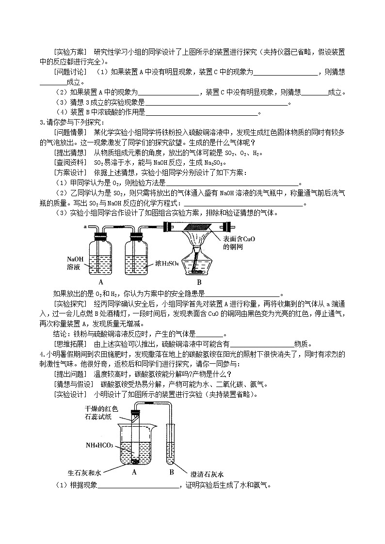中考化学总复习化学探究题提高巩固练习第2页