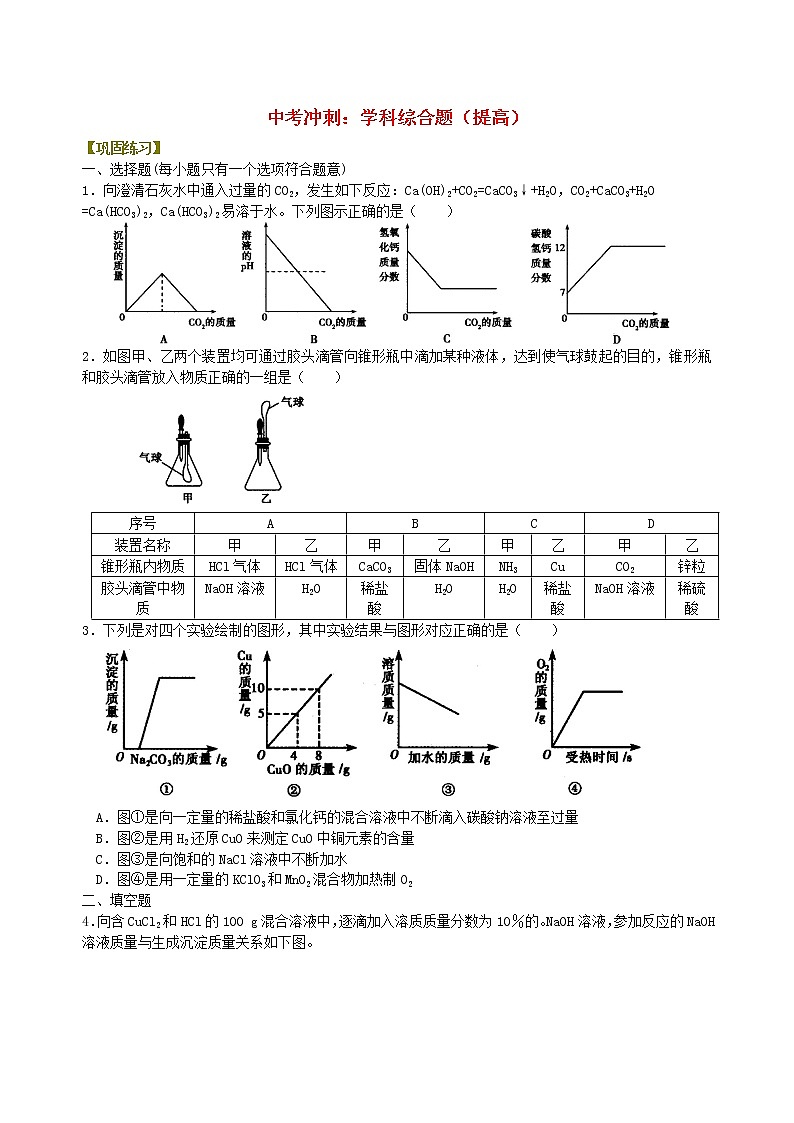 中考化学总复习学科综合题提高巩固练习第1页