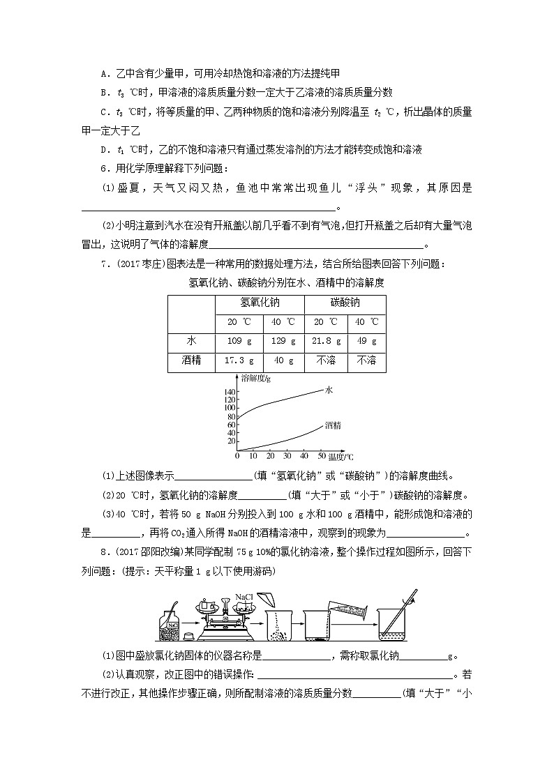 中考化学总复习第三章身边的化学物质课时10溶液优化训练第2页