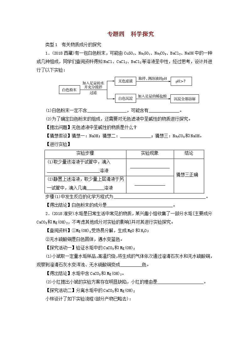 中考化学总复习专题4科学探究优化训练第1页