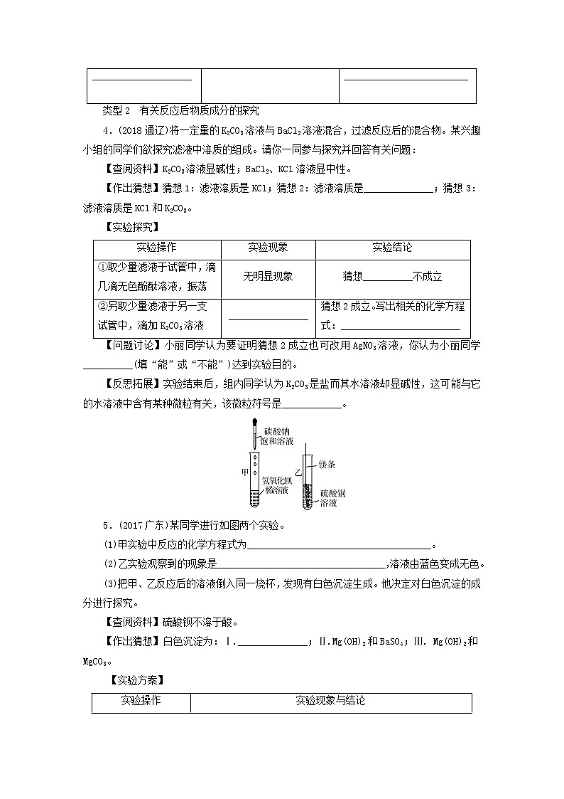 中考化学总复习专题4科学探究优化训练第3页