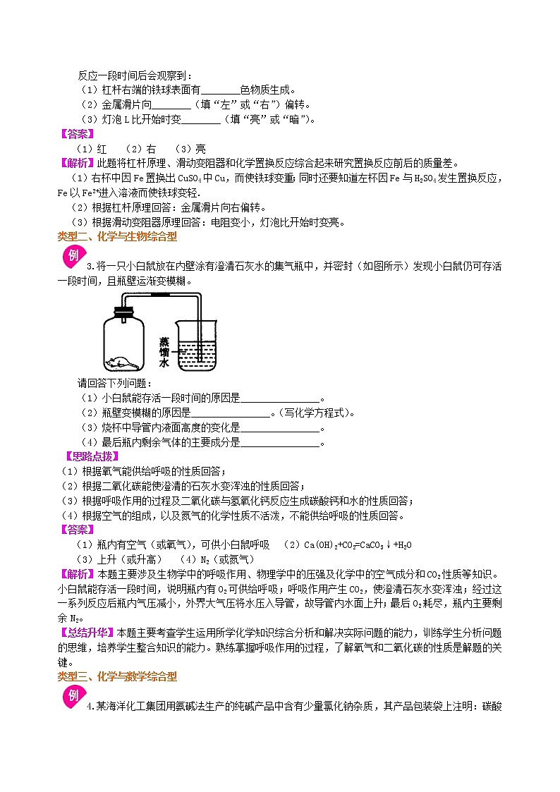 中考化学总复习学科综合题基础知识讲解学案第3页
