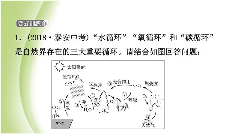 山东省滨州市中考化学一轮复习第六单元燃料与燃烧第2课时大自然中的二氧化碳课件第4页