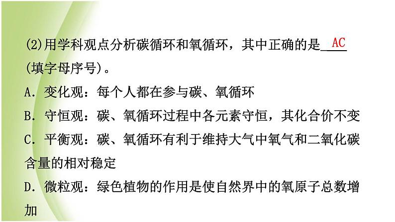 山东省滨州市中考化学一轮复习第六单元燃料与燃烧第2课时大自然中的二氧化碳课件第6页