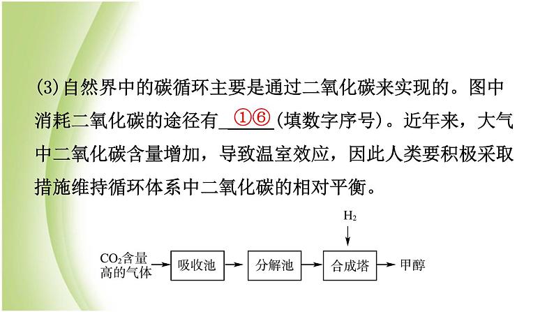 山东省滨州市中考化学一轮复习第六单元燃料与燃烧第2课时大自然中的二氧化碳课件第7页