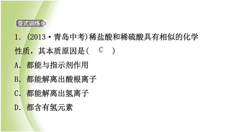 山东省滨州市中考化学一轮复习第七单元常见的酸和碱第1课时常见的酸和碱课件08