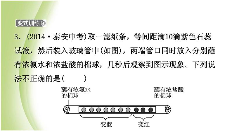 山东省滨州市中考化学一轮复习第七单元常见的酸和碱第2课时溶液的酸碱性　酸碱中和反应课件08