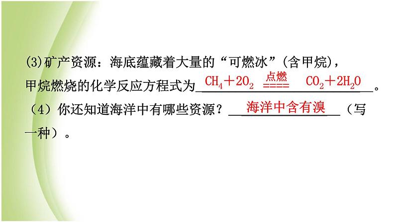 山东省滨州市中考化学一轮复习第八单元海水中的化学第1课时海洋化学资源课件第5页