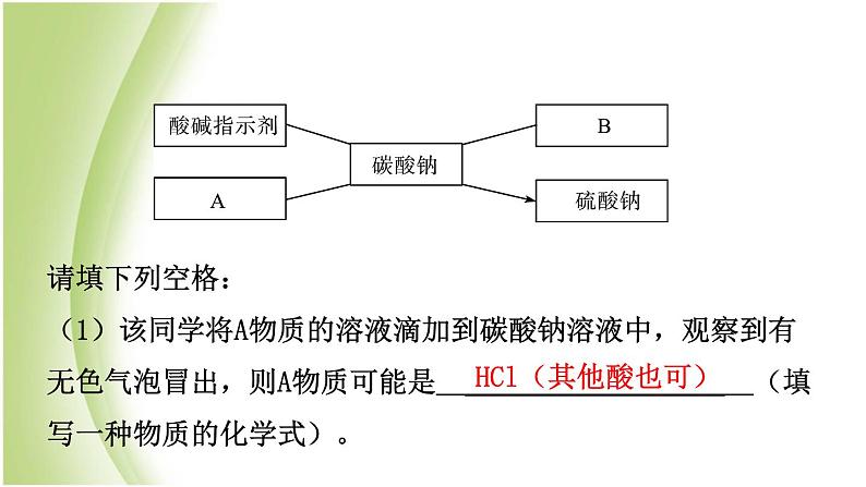 山东省滨州市中考化学一轮复习第八单元海水中的化学第2课时盐及其性质课件第3页