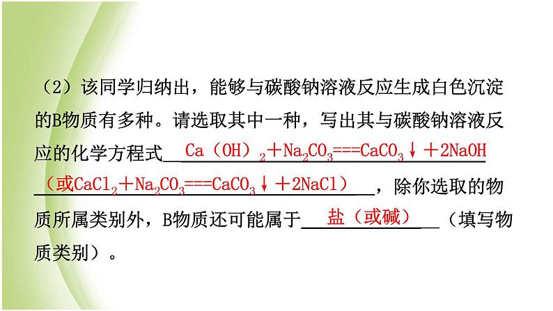 山东省滨州市中考化学一轮复习第八单元海水中的化学第2课时盐及其性质课件第4页