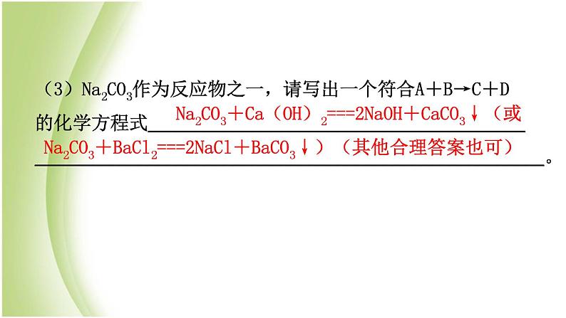 山东省滨州市中考化学一轮复习第八单元海水中的化学第2课时盐及其性质课件第8页