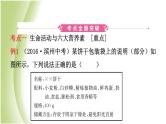 山东省滨州市中考化学一轮复习第十单元化学与健康课件