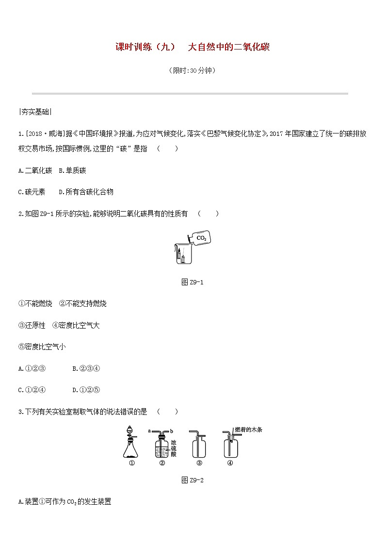 中考化学一轮复习第六单元燃烧与燃料课时训练09大自然中的二氧化碳练习鲁教版第1页
