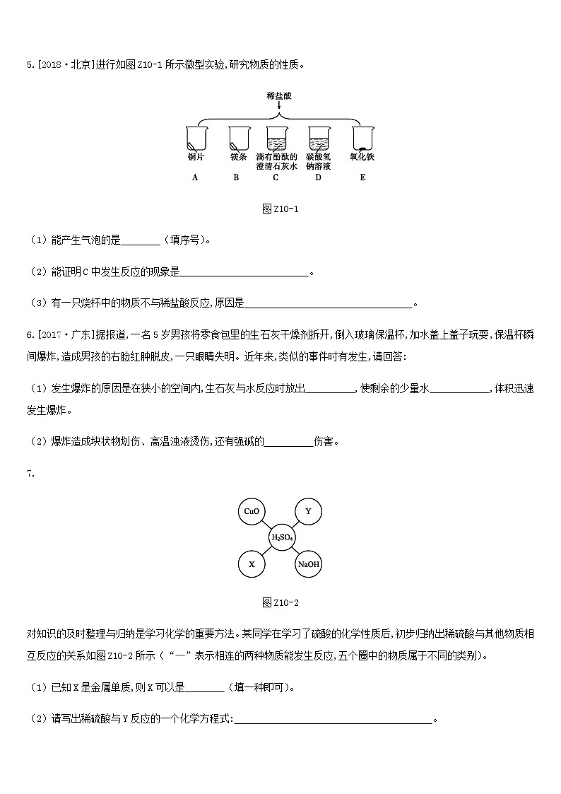 中考化学一轮复习第七单元常见的酸和碱课时训练10酸和碱的性质练习鲁教版第2页