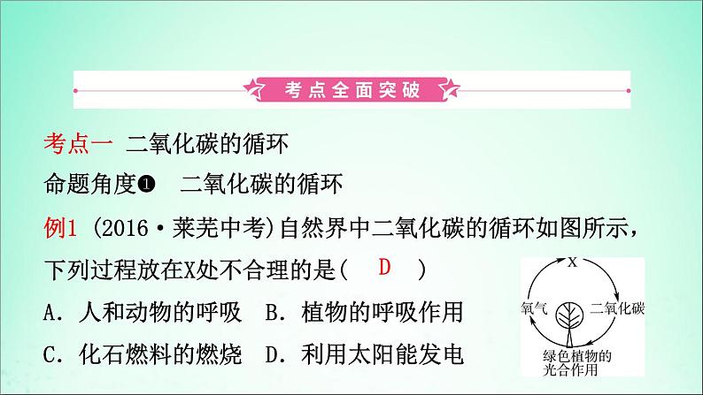 山东专版中考化学总复习第六讲燃料与燃烧第2课时大自然中的二氧化碳课件五四制第2页