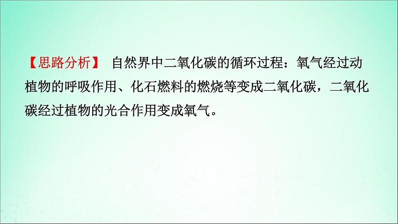 山东专版中考化学总复习第六讲燃料与燃烧第2课时大自然中的二氧化碳课件五四制第3页