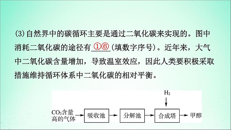 山东专版中考化学总复习第六讲燃料与燃烧第2课时大自然中的二氧化碳课件五四制第7页