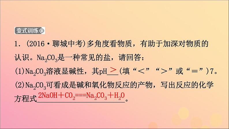 山东专版中考化学总复习第九讲海水中的化学第2课时盐及其性质课件五四制第6页