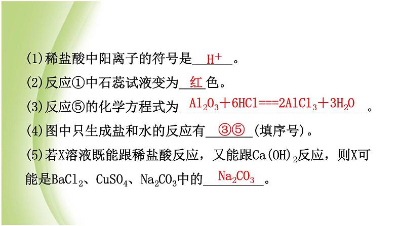 山东省济南市中考化学总复习第九讲酸和碱课件第7页