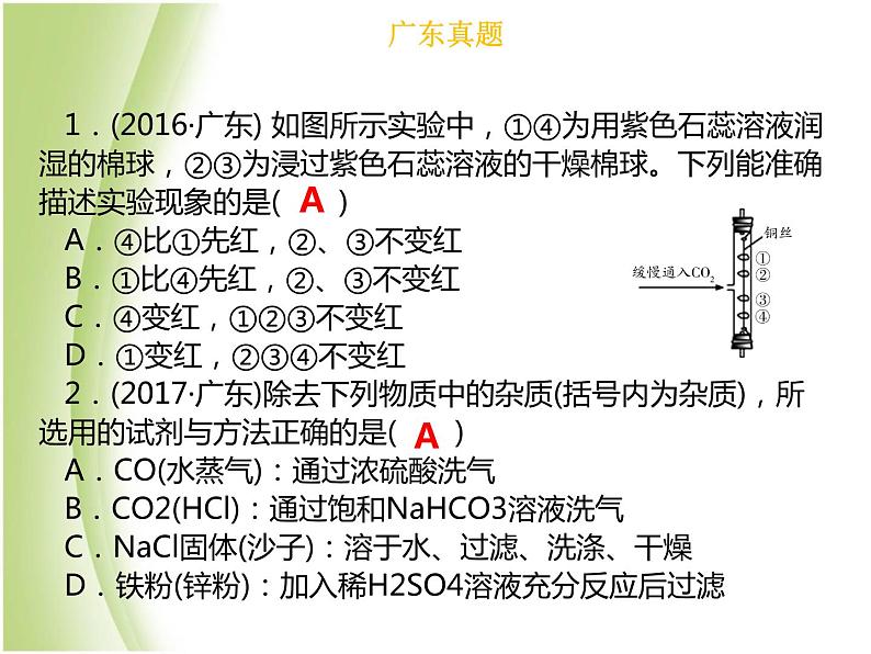 广东专版中考化学总复习第三部分身边的化学物质第10考点碳和碳的氧化物课件04