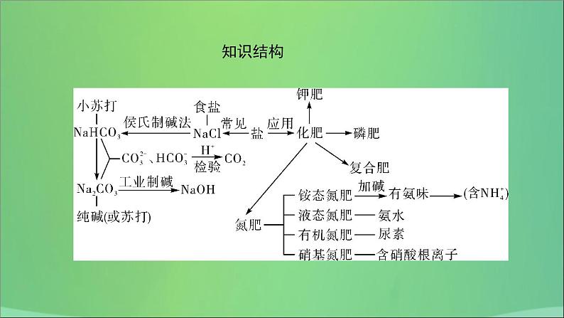 河南省中考化学复习第8讲盐化肥课件03