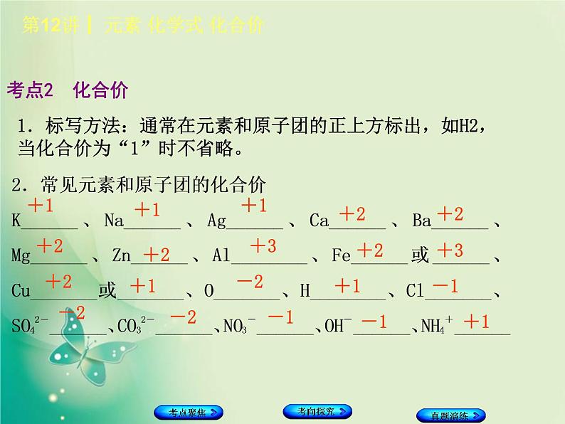 河北专版中考化学复习第12课时元素化学式化合价课件第6页