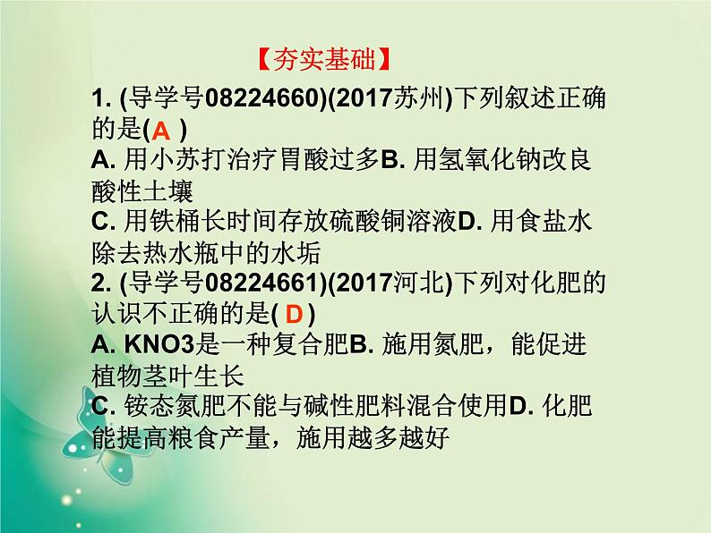 广东专版中考化学复习第一部分身边的化学物质第八节盐和化肥作业课件02