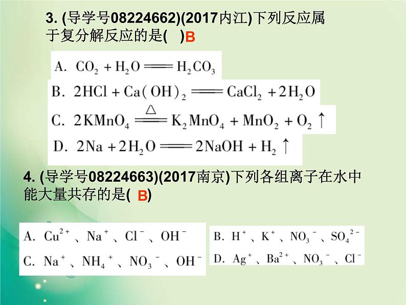 广东专版中考化学复习第一部分身边的化学物质第八节盐和化肥作业课件03