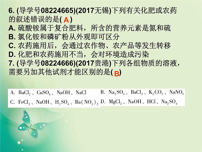 广东专版中考化学复习第一部分身边的化学物质第八节盐和化肥作业课件05