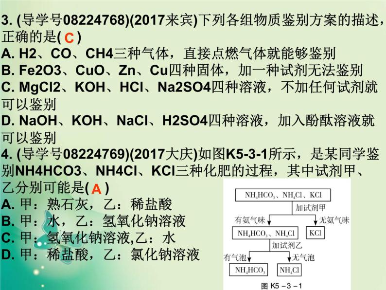 广东专版中考化学复习第五部分化学实验第三节物质的检验与鉴别作业课件03