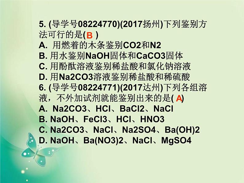 广东专版中考化学复习第五部分化学实验第三节物质的检验与鉴别作业课件04