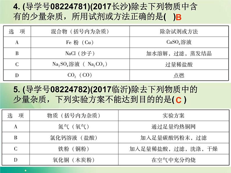 广东专版中考化学复习第五部分化学实验第四节物质的分离与提纯作业课件第4页