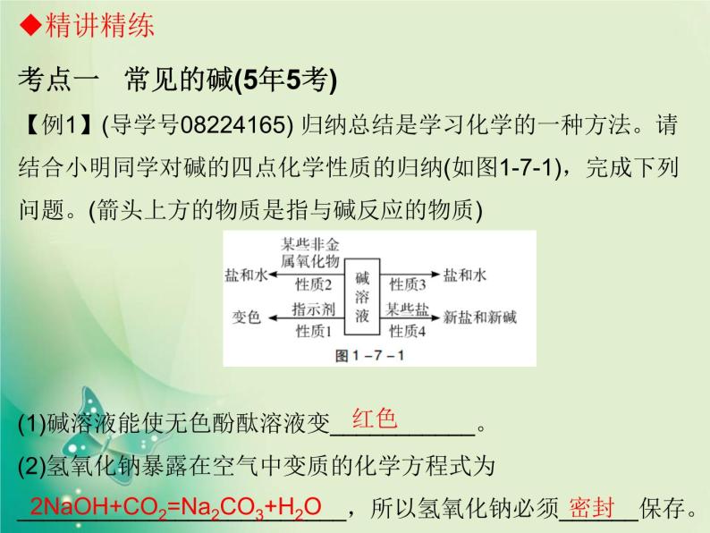 广东专版中考化学复习第一部分身边的化学物质第七节常见的碱课件08