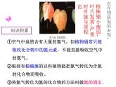 课题2   化学肥料课件PPT