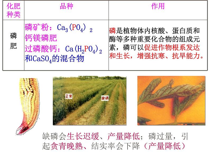 课题2   化学肥料课件PPT07