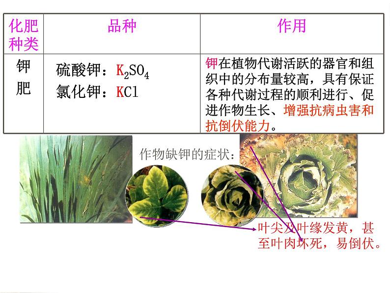 课题2   化学肥料课件PPT08