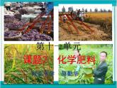 课题2化学肥料课件
