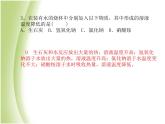 菏泽专版中考化学总复习第三部分模拟检测冲刺中考阶段检测卷三课件新人教版