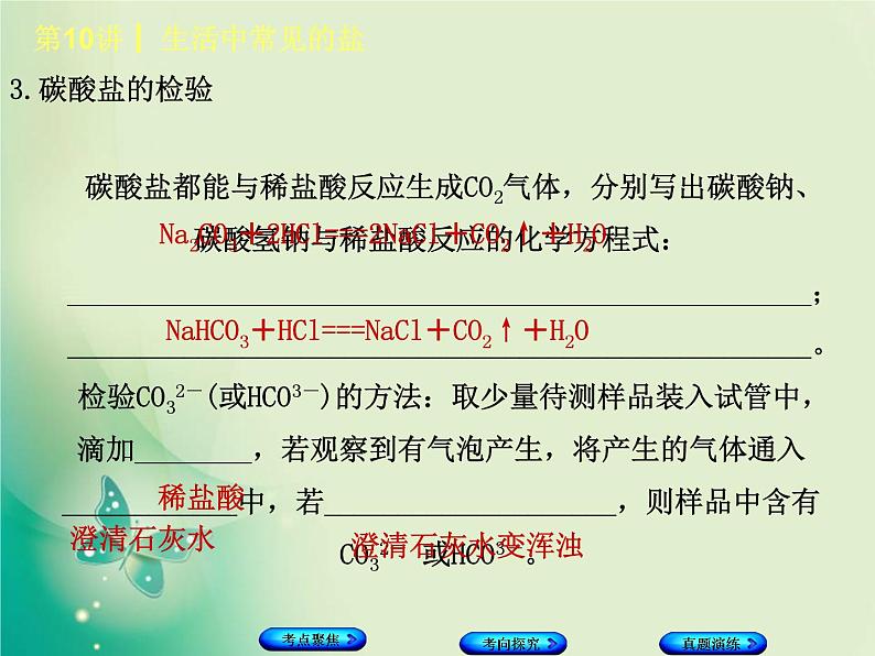 河北专版中考化学复习第10课时生活中常见的盐课件第5页