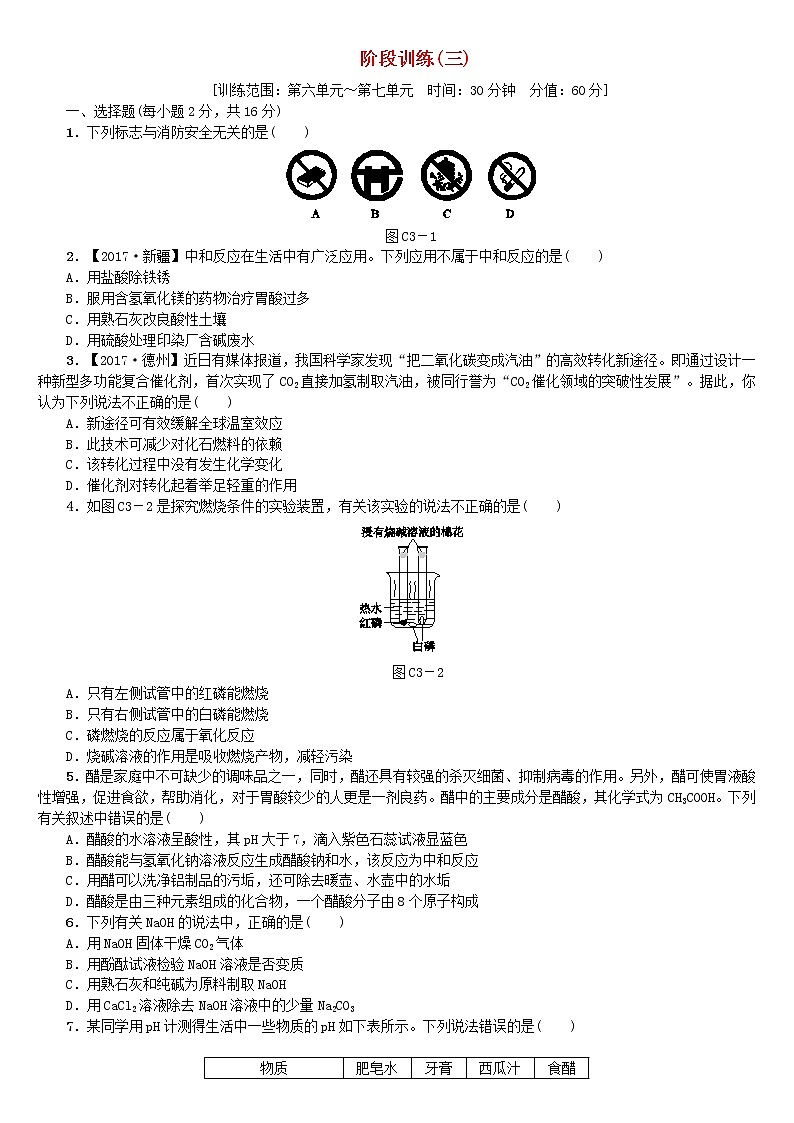 中考化学复习阶段训练三练习新版鲁教版第1页