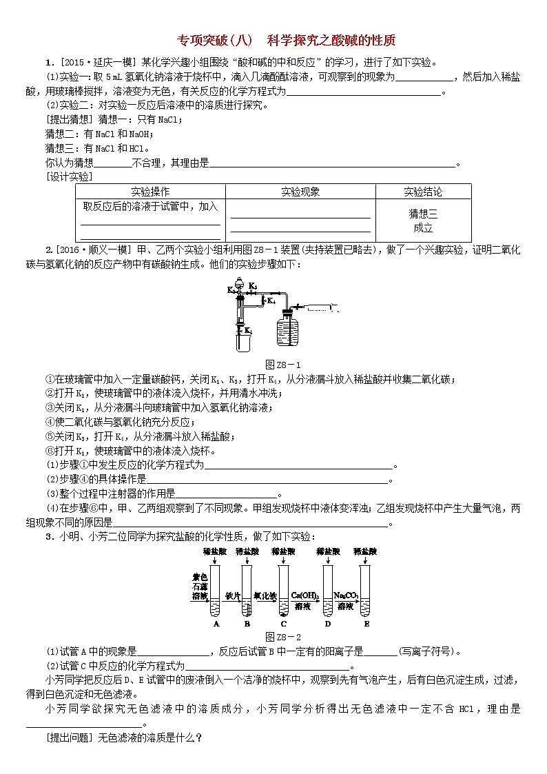 北京专版中考化学基础复习专项突破八科学探究之酸碱的性质练习第1页