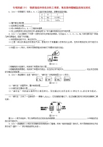 北京专版中考化学基础复习专项突破十物质组成和变化分析之单质氧化物和酸碱盐的相互转化练习