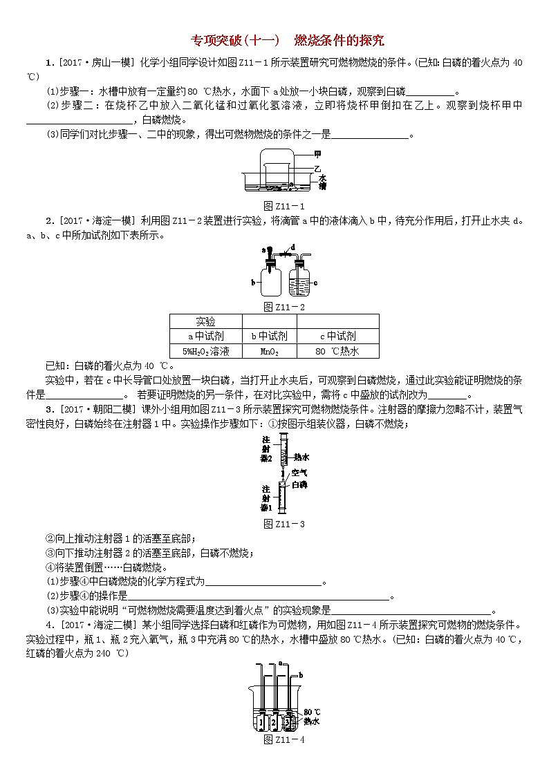 北京专版中考化学基础复习专项突破十一燃烧条件的探究练习第1页
