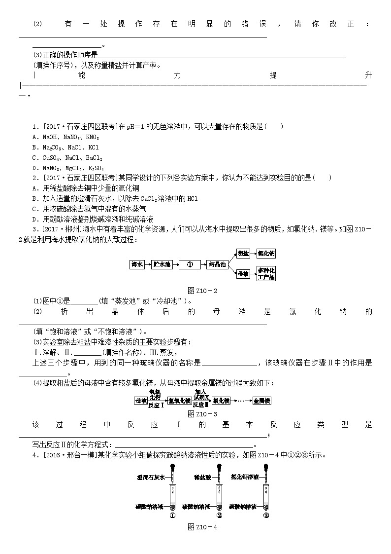 河北专版中考化学复习考题训练十生活中常见的盐第2页