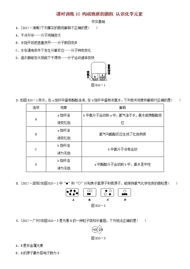 湖南省中考化学复习课时训练10构成物质的微粒认识化学元素练习第1页