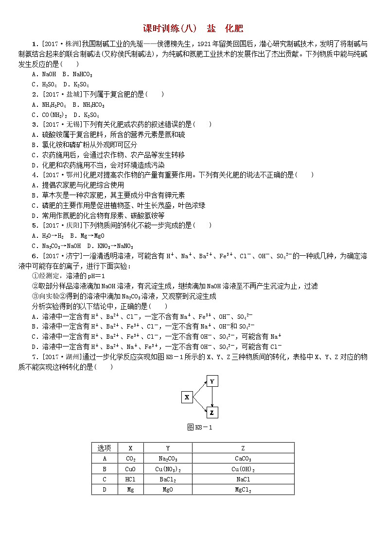 山西专版中考化学复习方案课时训练八盐化肥01